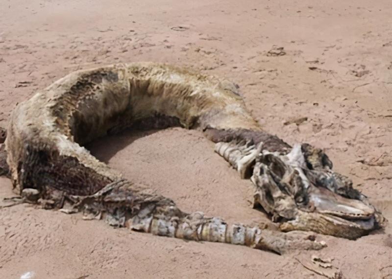 营口美食探秘,独特风味之旅