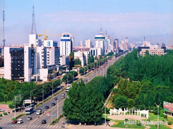 包头温情故事,感受这座城市的热情与陪伴